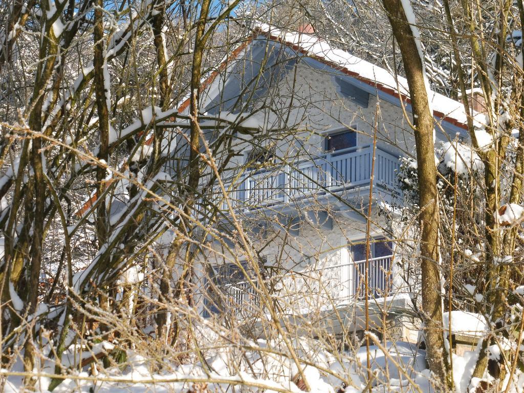 Miltach Ferienwohnung Regentalblick מראה חיצוני תמונה